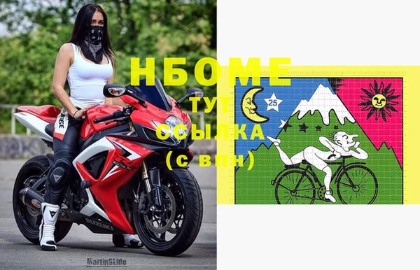 индика Михайлов