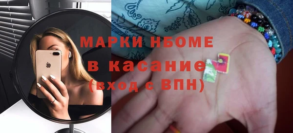 индика Михайлов
