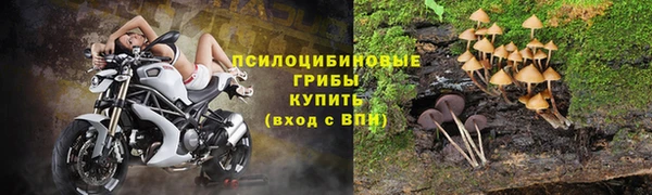 ешки Михайловск