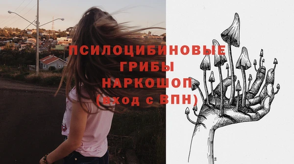 индика Михайлов